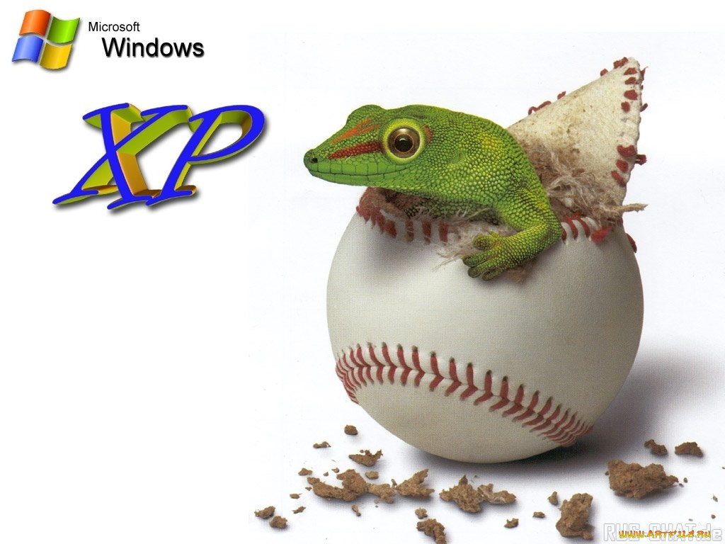 , windows, xp